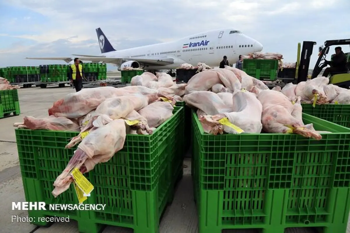 اولین محموله گوشت وارداتی در سال جاری وارد کشور شد