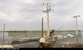 سیل بیش از ۲۱۶ میلیارد تومان خسارت به شهرستان دهلران وارد کرد