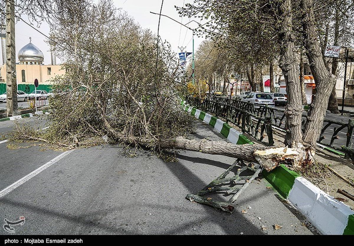 خسارت ۷ میلیارد ریالی وزش شدید باد در اصفهان؛ آغاز سرمازدگی دیررس بهاره در باغات
