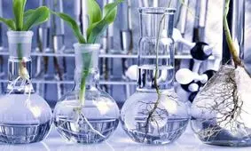 راه اندازی مرکز فناوری محصولات تراریخته در کشور