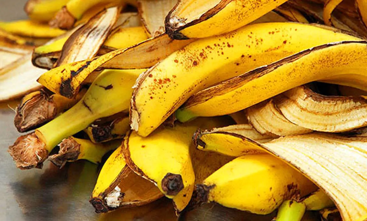 دور ریختنی‌هایی خوراکی با کارایی عجیب!