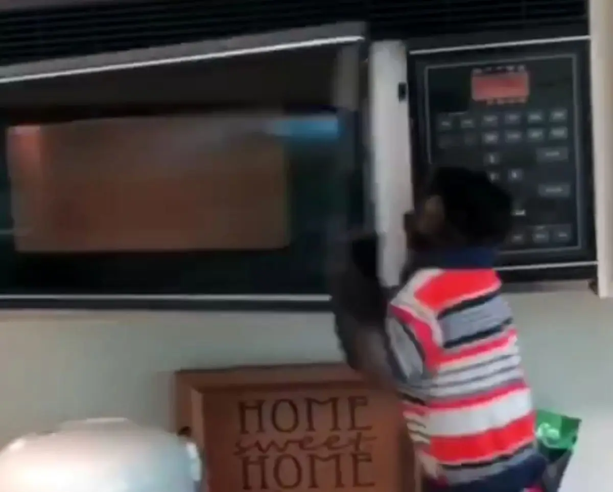 اعصاب میمونه که دیگه