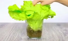 ترفندهای جالب و کاربردی با پوست میوه ها