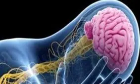 8 قلم داروی ایرانی درمان صرع تولید شد