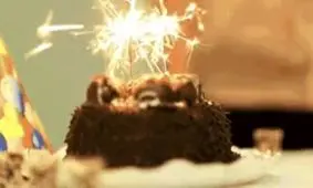 اردیبهشتی های عزیز آغاز حکومتتان مبارک !