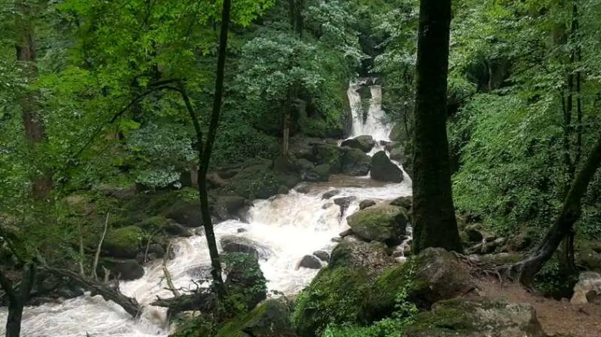 هواشناسی استان تهران: حاشیه رودخانه ها ناامن است