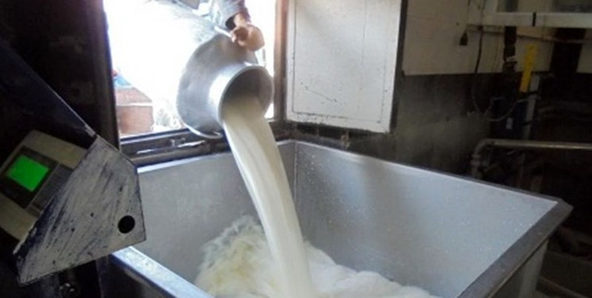کشف بیش از 5 هزار کیلوگرم شیر تقلبی در فلاورجان