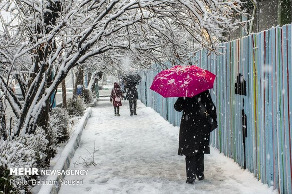 بارش برف در کردستان/کاهش دمای هوای استان ادامه دارد
