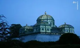 تصاویری جذاب از گلخانه پادشاه بلژیک/اینجا هه نوع گیاهی یافت می‌شود