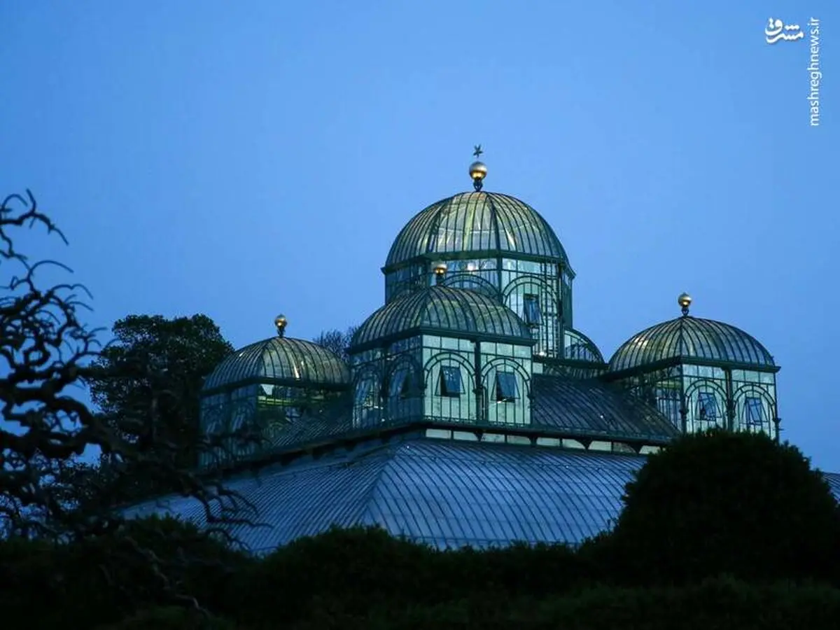 تصاویری جذاب از گلخانه پادشاه بلژیک/اینجا هه نوع گیاهی یافت می‌شود