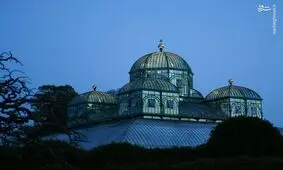 تصاویری جذاب از گلخانه پادشاه بلژیک/اینجا هه نوع گیاهی یافت می‌شود