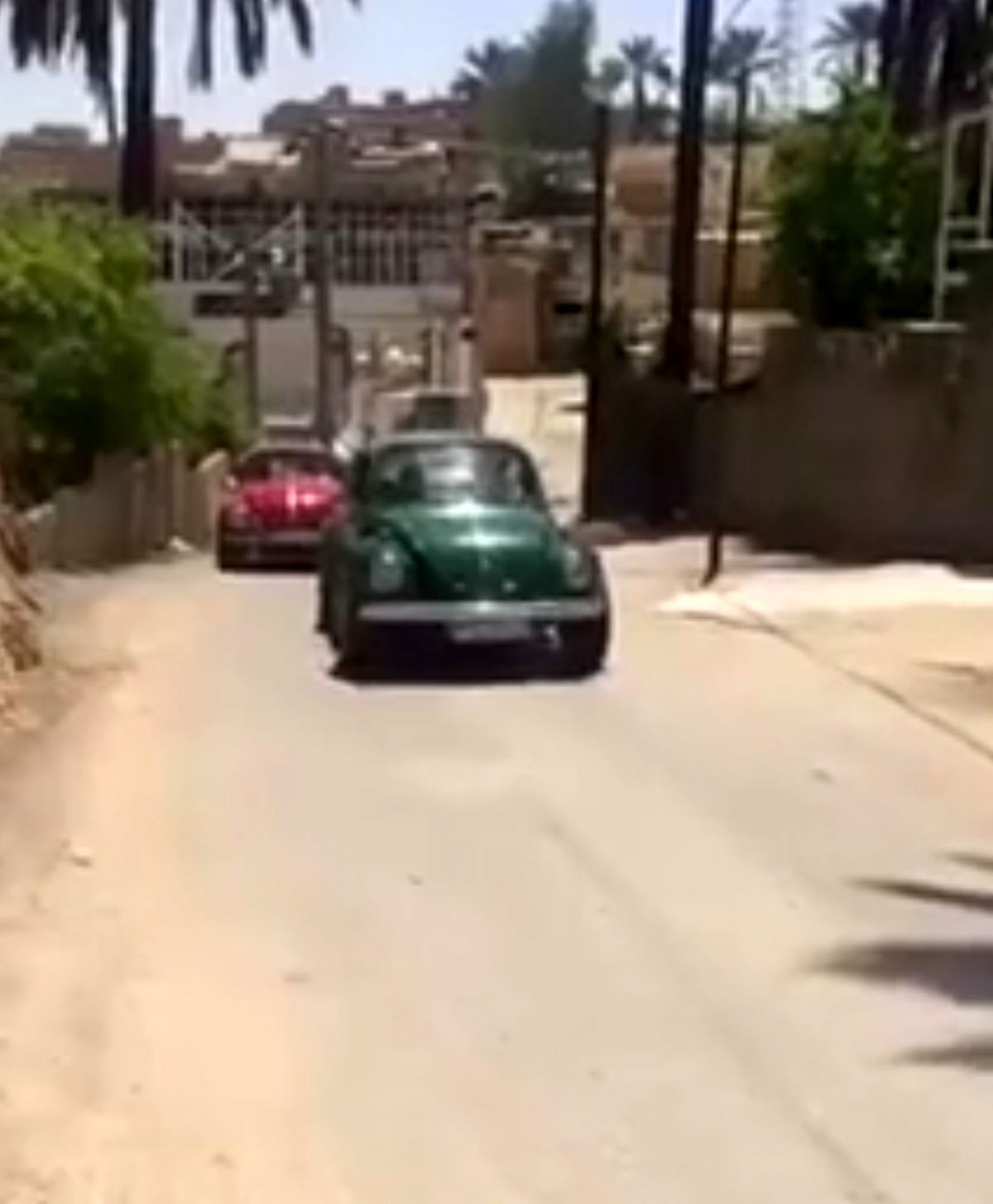 اجرای رالی فولکس واگن‌های قدیمی در خاوران جهرم