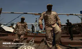 توقیف سه فروند لنج با ۷ تن صید غیرمجاز در جزیره کیش