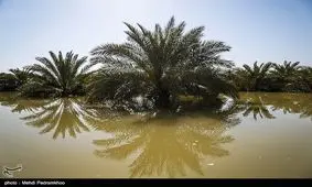 روستای ارگ میر در محاصره سیل قرار گرفت