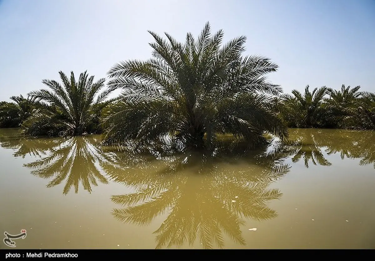 روستای ارگ میر در محاصره سیل قرار گرفت