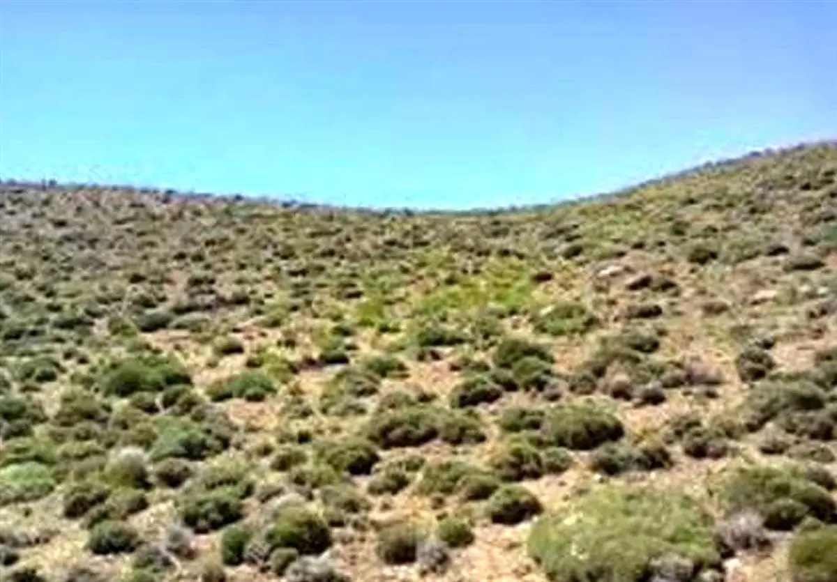 منطقه تاریخی و گردشگری زیارت گرگان در معرض خطر سیل و رانش زمین قرار دارد