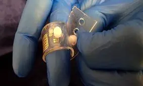 ساخت ردیابی برای موجودات دریایی