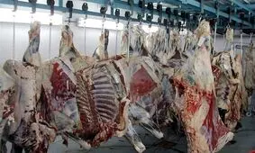 واردات گوشت تاثیری در کاهش قیمت ندارد