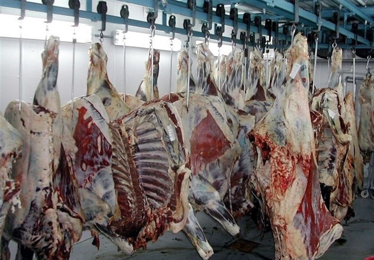 واردات گوشت تاثیری در کاهش قیمت ندارد