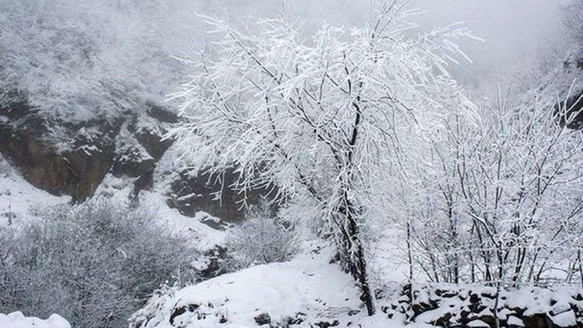 دقایقی قبل: بارش 20 سانتی‌متری برف اطراف ارومیه!+ویدئو