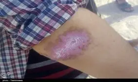 "سالک" در کمین یک سوم جمعیت اصفهان؛ ۲۰۰کانون سالک در استان وجود دارد