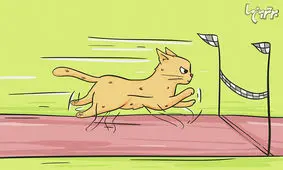 دانستنی‌های جالب درباره گربه‌ها که نمی‌دانستید