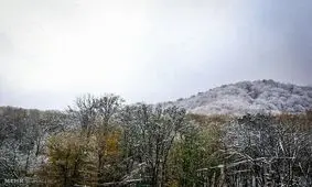 ۵۰ روستای لاریجان آمل سفیدپوش شد