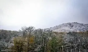 ۵۰ روستای لاریجان آمل سفیدپوش شد