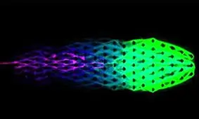 متابولیسم مصنوعی؛ دستاورد تازه‌ دانشمندان