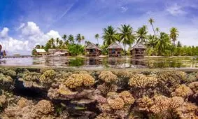 درون و بیرونِ آب در یک قاب + عکس