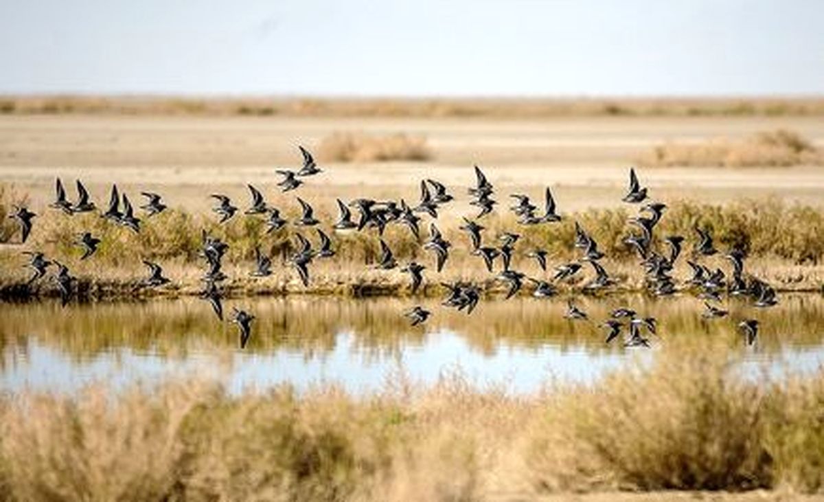 تالاب گاو خونی +تصاویر