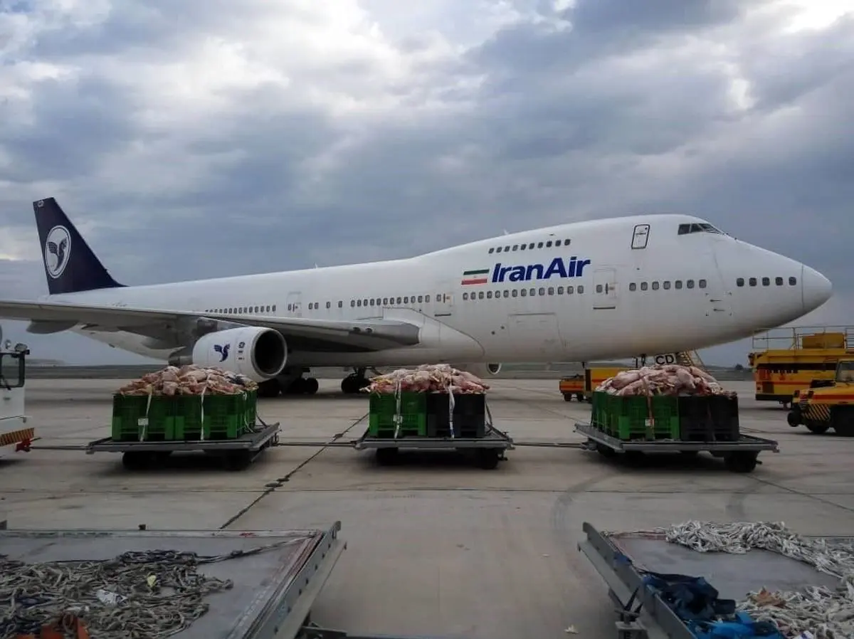 هواپیمای غول‌پیکری که گوسفند به ایران می‌آورد +تصاویر