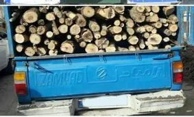 ۲ تن چوب قاچاق بلوط در لردگان کشف شد