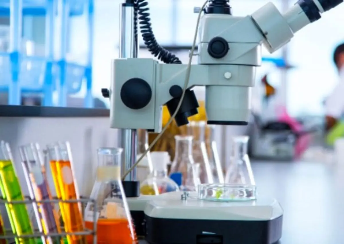 یک گونه جدید باکتریایی از خانواده‌ی «پلنوکوکاسه» شناسایی شد