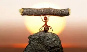 تست روان شناسی اعتماد به نفس