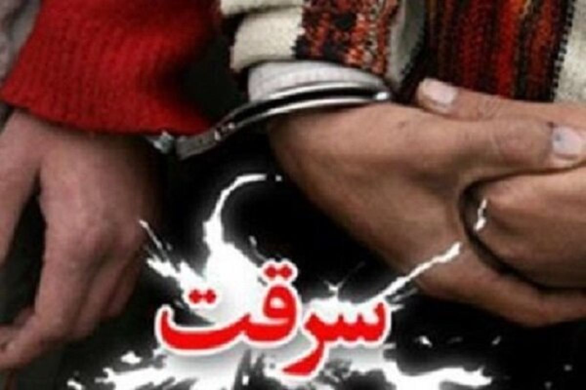 کشف ۴۹ فقره سرقت و دستگیری ۲۴ سارق در تویسرکان
