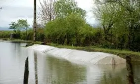 شالیزارهای غرب انزلی به زیر آب رفت/لایروبی رودخانه چافرود