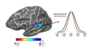 حقیقتی شگفت‌انگیز درباره افراد نابینا که از آن بی‌خبرید