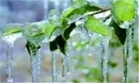 سیل ۴۳ میلیارد تومان به کشاورزان استان آذربایجان غربی خسارت زد