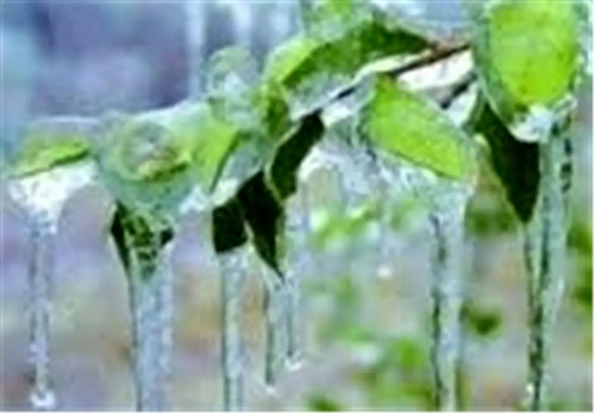 سیل ۴۳ میلیارد تومان به کشاورزان استان آذربایجان غربی خسارت زد