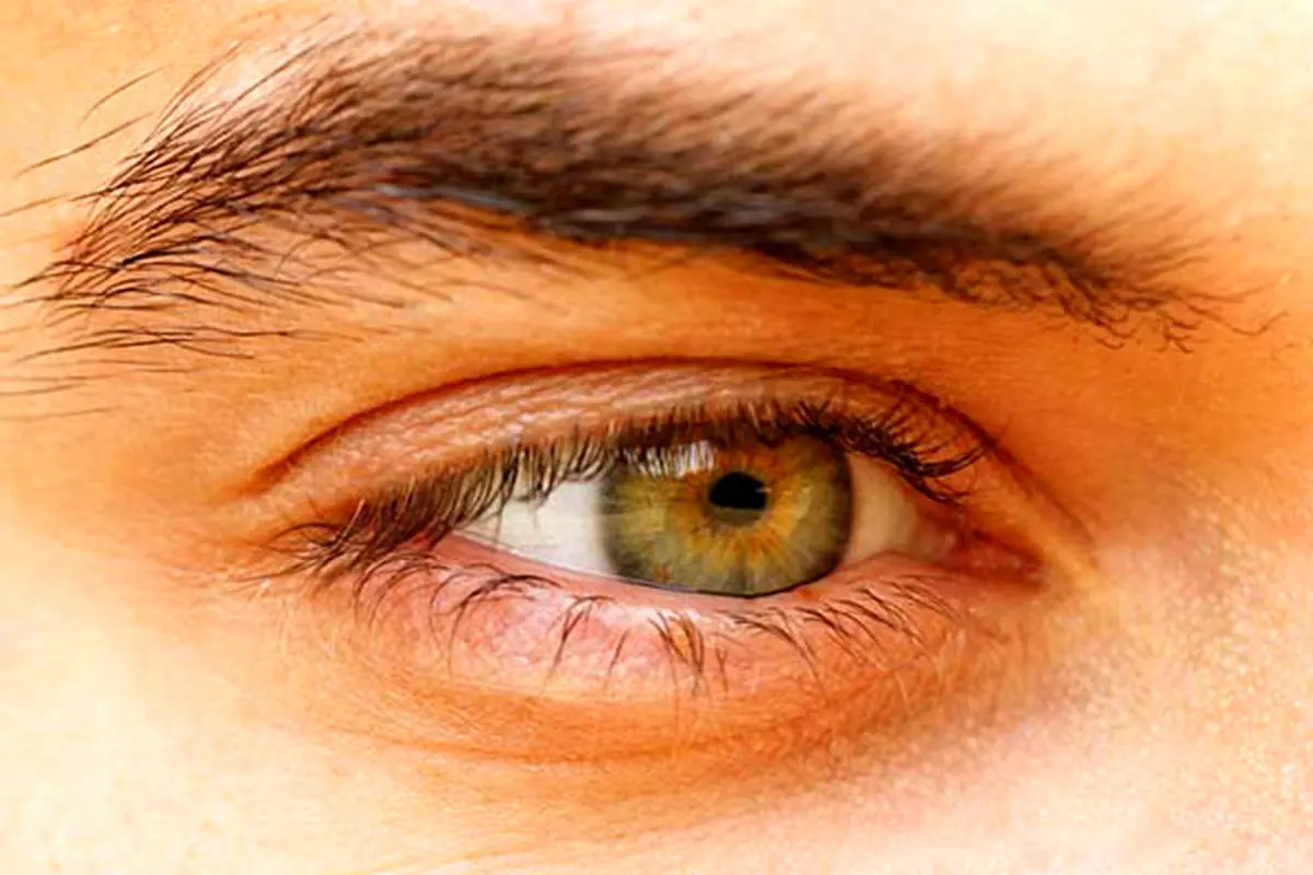 راز‌های جالب درباره چشم سبز‌ها که نمی‌دانستید!