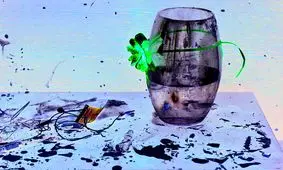 بیتا دیگر دکتر نمی‌شود کتاب‌هایش را سیل برد