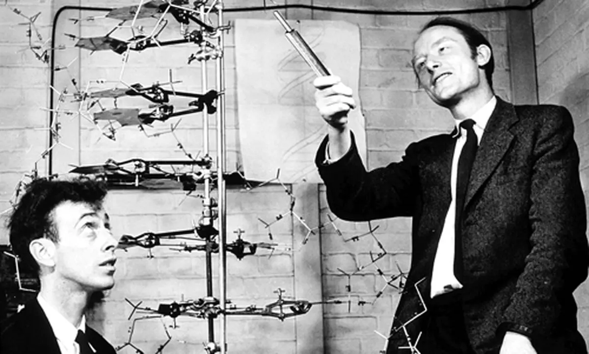 کشف ساختار مارپیچی DNA
