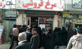 مرغ در بازار ایلام نایاب شد