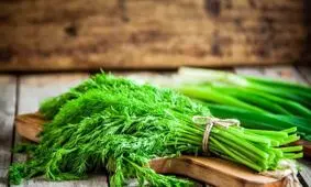 همه چیز درباره شوید