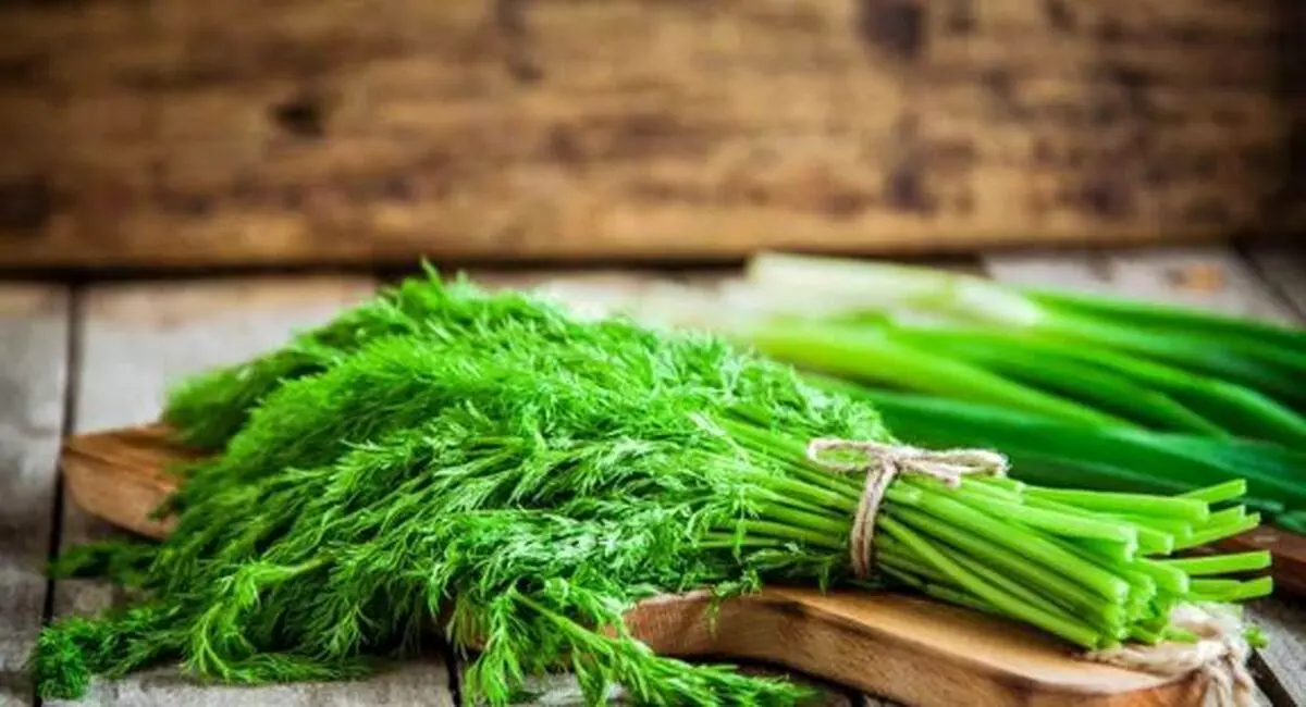 همه چیز درباره شوید
