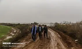 جاده شادگان - دارخوین بازگشایی می‌شود