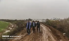 جاده شادگان - دارخوین بازگشایی می‌شود