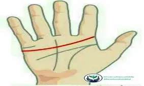 تست جالب شخصیت‌شناسی کف دست چپ