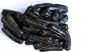 ۹۵ بسته تریاک از معده سوداگر مرگ در بجنورد کشف شد